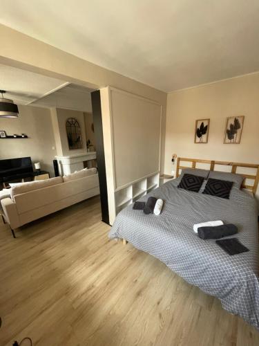 sypialnia z łóżkiem i salon w obiekcie T1 Bis élégant - Coeur de ville w Perpignanie