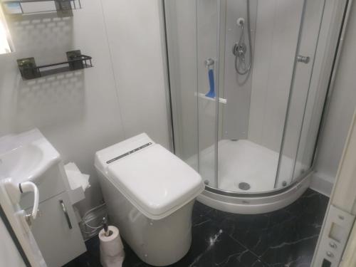 a bathroom with a shower and a toilet and a sink at OFFGRID Haus am Angelteich in Thallern