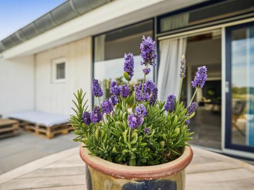 um vaso cheio de flores roxas em frente a uma casa em Apartment Kaapo - 1km from the sea in NW Jutland by Interhome em Blokhus