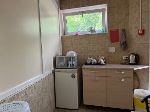 eine kleine Küche mit einem kleinen Kühlschrank und einem Fenster in der Unterkunft Sun in Chmelnyzkyj