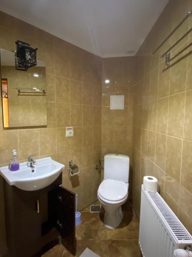 a bathroom with a toilet and a sink at Popas in Breb in Breb