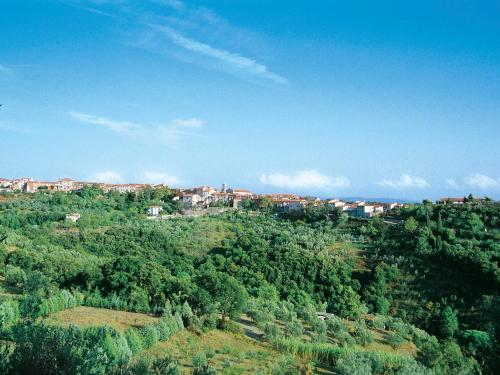 a town on top of a hill with trees at Apartment Francesco's pretty house by Interhome in Riparbella