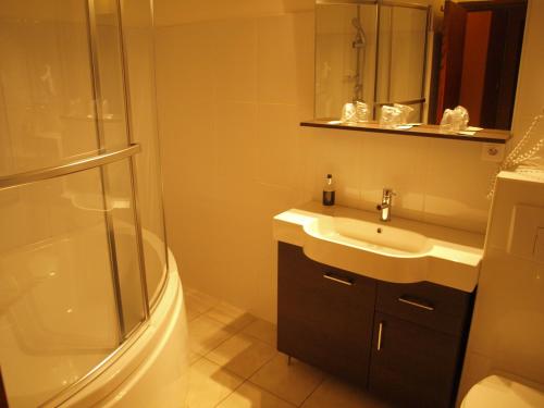 a bathroom with a sink and a shower at Auberge - Hotel U Paradisu in Vico
