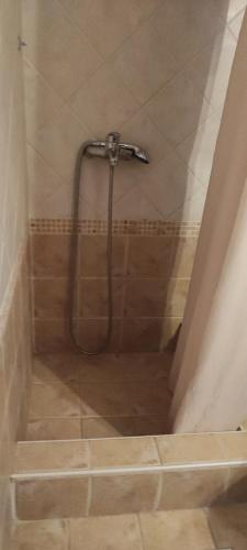 a shower with a hose in a bathroom at Kastania Gi in Palaios Panteleimonas