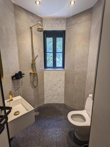 a bathroom with a toilet and a sink and a window at Villa Morton - Domaine du Grand Tourmalet Pic du Midi in Bagnères-de-Bigorre