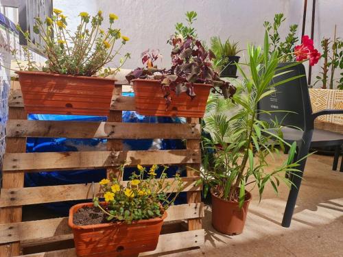 a bunch of potted plants on a wooden fence at Estancia de Ensueño y Relax Parking Gratuito in Granada
