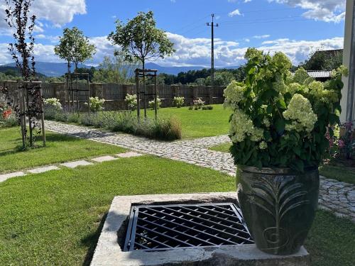 a vase with a plant in the middle of a yard at Dworek Wojanów in Wojanów