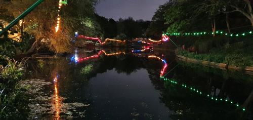 a canal with christmas lights on the water at night at St Michael's Guest House in Scarborough
