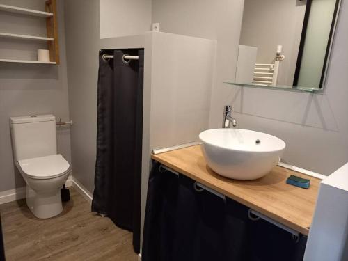 La salle de bains est pourvue d'un lavabo blanc et de toilettes. dans l'établissement La Grelauderie 4, à Saintes