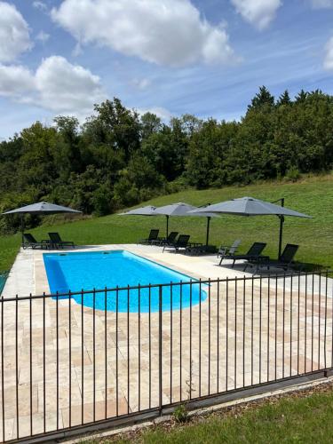 uma piscina com cadeiras e guarda-sóis em Château des Loups - Les Cèdres Bleus em Échiré