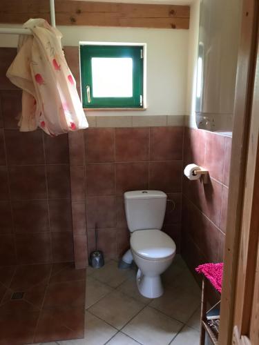 a bathroom with a toilet and a window at Liwia Park in Niechorze