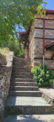 a set of stone stairs next to a building at Kastania Gi in Palaios Panteleimon