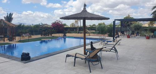 una gran piscina con sillas y sombrilla en casadelfenix en Alicante