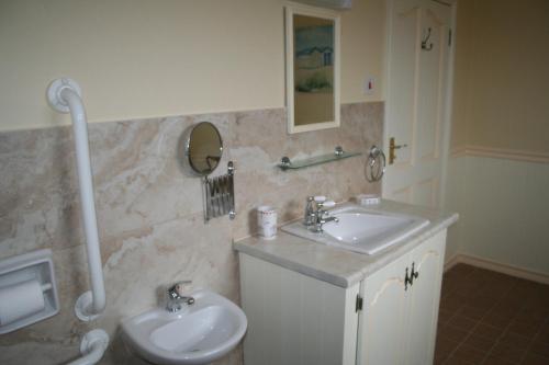 a bathroom with a sink and a toilet and a mirror at Swallows Rest in Anascaul