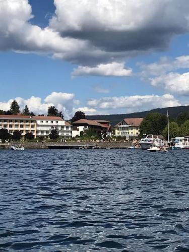 Gérardmer Centre - Studio au pied du lac Grande terrasse