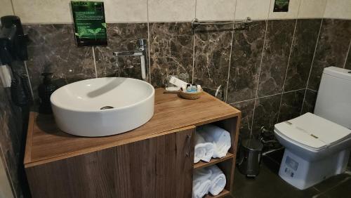 HBS Boutique Hotel & Restaurant في Beykoz: حمام مع حوض ومرحاض