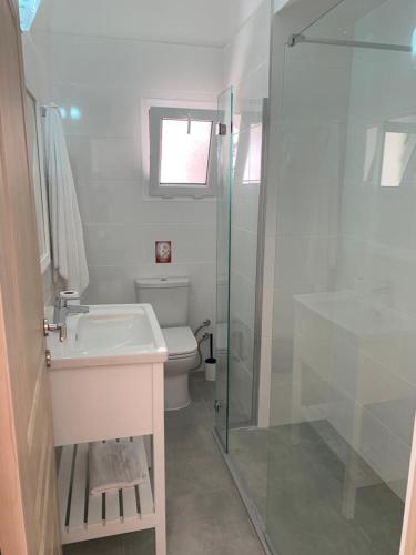a bathroom with a toilet and a sink and a shower at Aphrodite Beachfront Apartment - North Cyprus in Ghaziveran