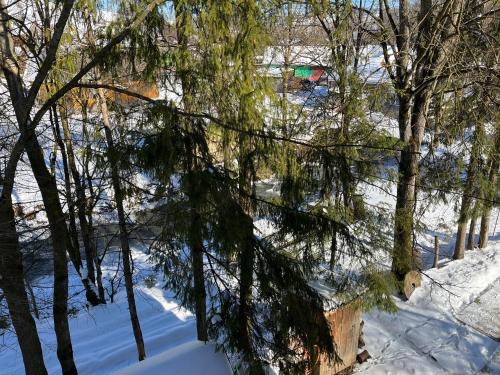 a group of trees in the snow at Beautiful house in Pilipets