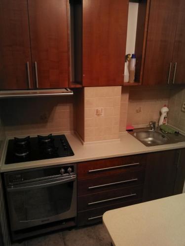 a kitchen with a stove and a sink at Vila Barrandov in Prague