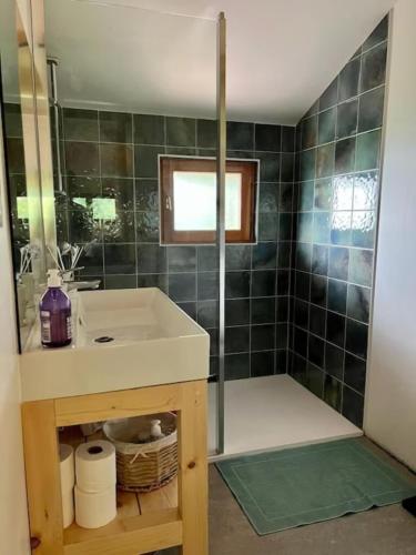 une salle de bain avec un lavabo et une douche dans l'établissement Chalet la parenthèse, à Le Tholy
