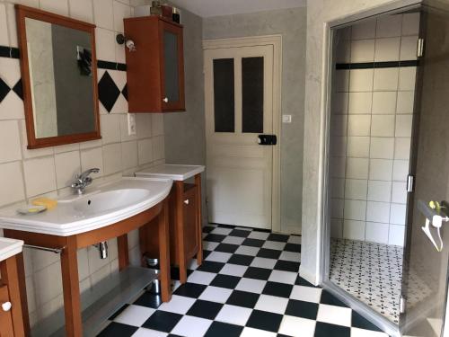 a bathroom with a sink and a shower at Le Kiosque de Compostelle in Espaly-Saint-Marcel