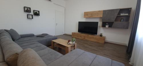 a living room with a couch and a flat screen tv at MC Centar Apartman in Pula