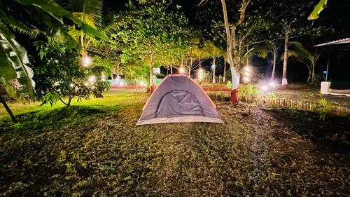 een tent op de grond in een park 's nachts bij Stay On The Way Resort Mandwa Alibag in Alibaug