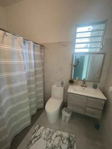 uma casa de banho com um WC, um lavatório e um espelho. em Las Gaviotas Puerto Del Rey Marina, & Ferries private access em Fajardo