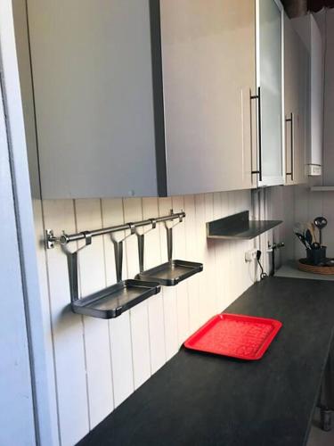 une cuisine avec un tapis rouge sur un comptoir dans l'établissement REIMS - Duplex au cœur du quartier Saint-Remi, à Reims