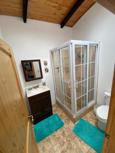 bagno con doccia, lavandino e servizi igienici di Cozy Cottage on 2 Acres for Families/Groups 