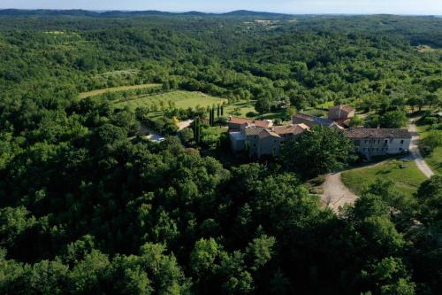 - une vue aérienne sur une maison dans les bois dans l'établissement L'abbraccio della quercia, à Momjan