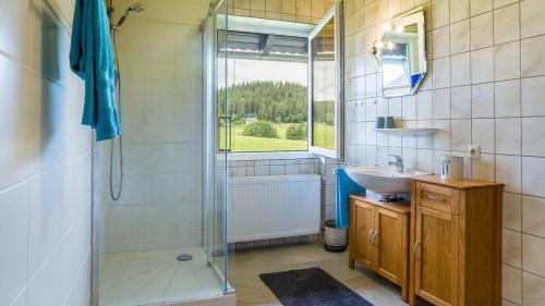 a bathroom with a shower and a sink at Fewo Fuchs in Lauterbach