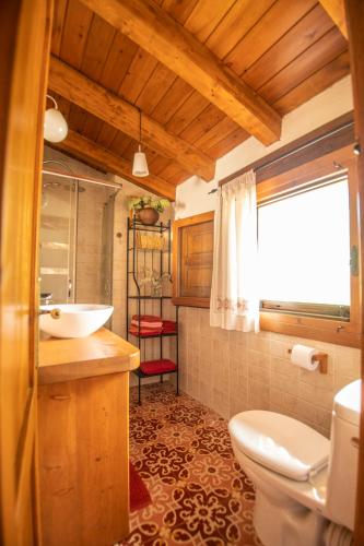 a bathroom with a white toilet and a sink at Casa Mimosa in Candeleda