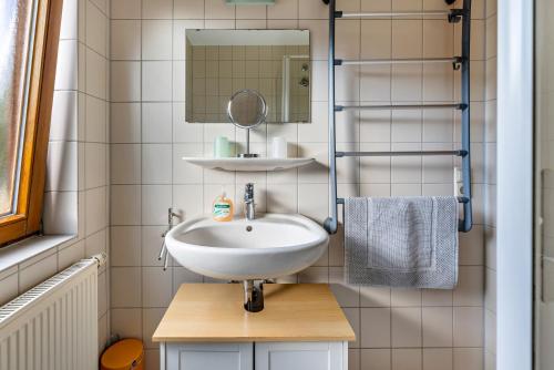 uma casa de banho com um lavatório e um espelho em An der Schwäbischen Alb em Mössingen