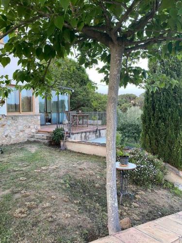 a small table next to a tree in a yard at Can Catrol in Santa Cristina d'Aro