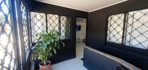 un pasillo con una puerta y una maceta en Black House, en Ibagué