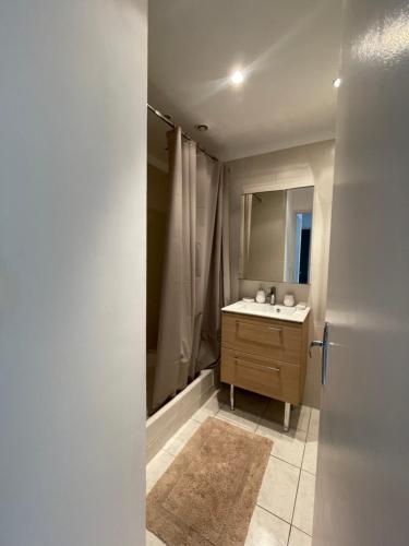 une salle de bain avec un lavabo et un miroir dans l'établissement Appartement T5, à Montpellier