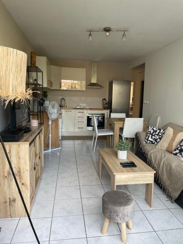 un salon avec un canapé et une table dans l'établissement Appartement T5, à Montpellier