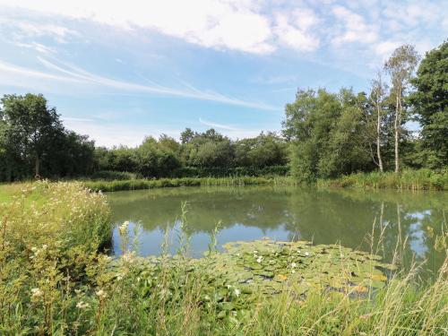 a large pond with grass and trees in a field at Spindle in Swadlincote
