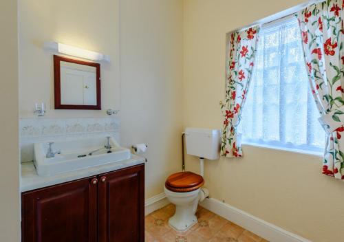 a bathroom with a toilet and a sink and a window at Grenville - Upcott House in Barnstaple