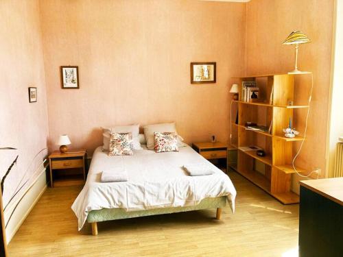 une chambre avec un lit et une étagère dans l'établissement Charmant T3 proche du centre-ville, à Colmar