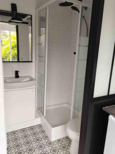 a bathroom with a shower and a toilet and a sink at Studio Athis/Juvisy sur Orge in Athis-Mons
