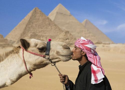 Un uomo che bacia un cammello davanti alle piramidi di Hilton Cairo Zamalek Residences a Il Cairo