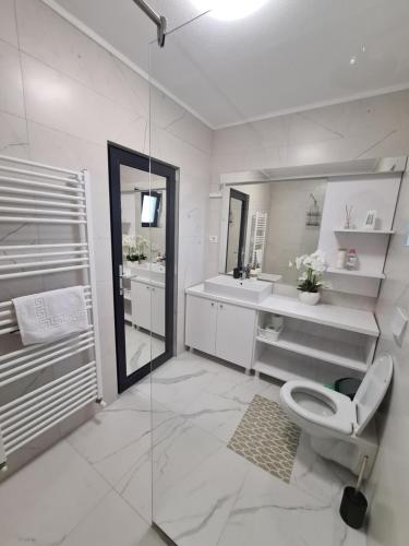 ザルネシュティにあるApartament Eminescuのトイレ、洗面台、シャワー付きのバスルーム