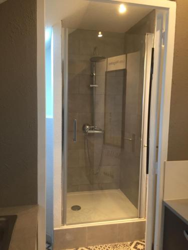 a shower in a bathroom with a glass door at Studio moderne, étage 3, avec literie de qualité prémium in Belfort