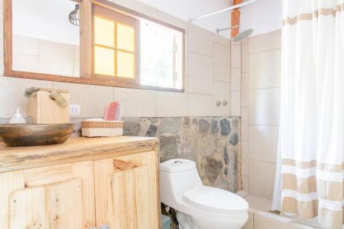 La salle de bains est pourvue de toilettes, d'un lavabo et d'une douche. dans l'établissement Cabaña de montaña (jacuzzi exterior), à San Alfonso