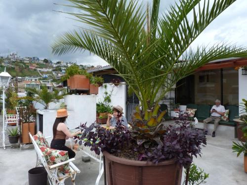 two women standing on a patio with a potted plant at Otavalo Suites in Otavalo
