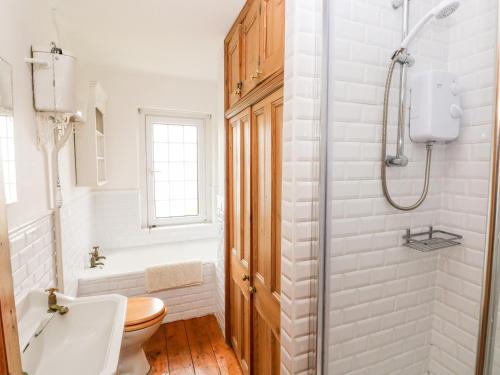 La salle de bains est pourvue de toilettes, d'un lavabo et d'une douche. dans l'établissement Bwthyn Berwig, à Swansea