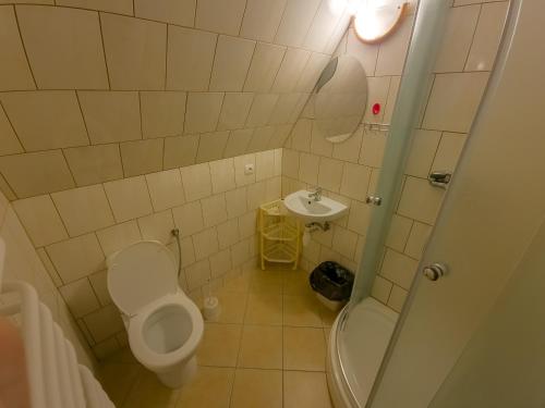 a small bathroom with a toilet and a sink at uAntosi Małe Ciche in Murzasichle