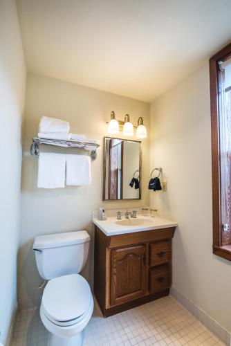 a bathroom with a toilet and a sink and a mirror at The Pollard Hotel in Red Lodge